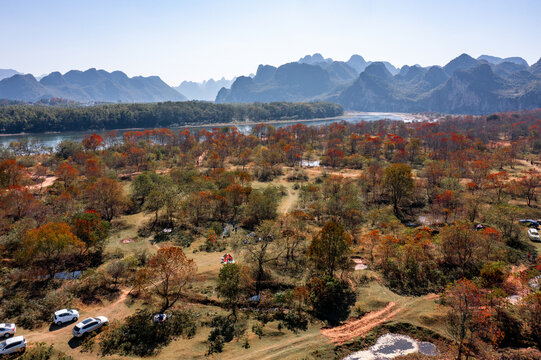 广西桂林竹江乌桕滩景区红叶