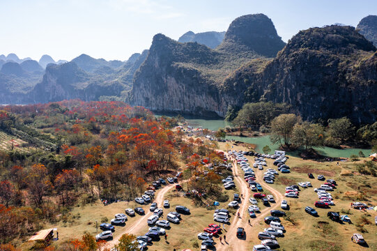 广西桂林竹江乌桕滩景区红叶