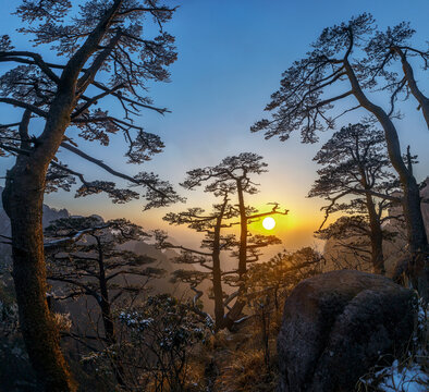 冬天黄山迎客松间落日