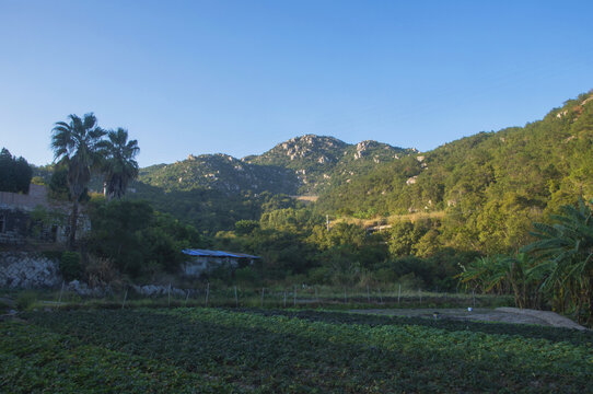 泉州环山村田园风景