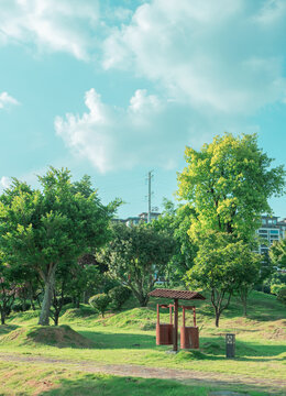 萬峰林風光