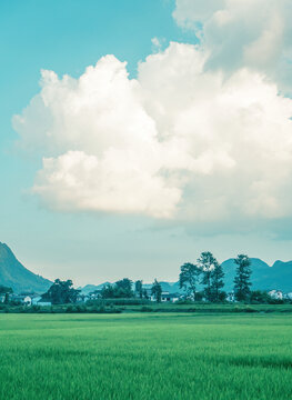 万峰林风光