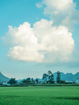 万峰林风光