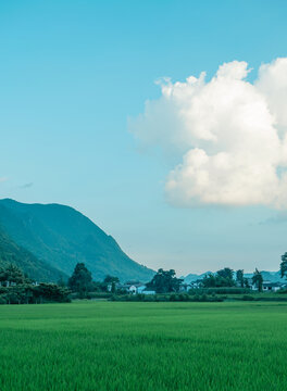 萬峰林風光