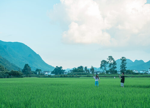 萬峰林風光