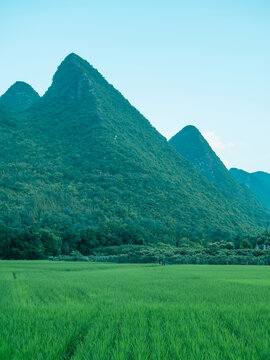 萬峰林風光