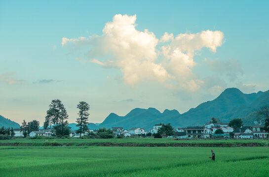 萬峰林風光