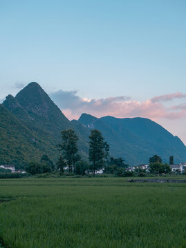 萬峰林風光