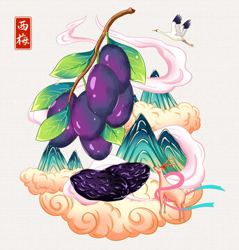 西梅插畫手繪