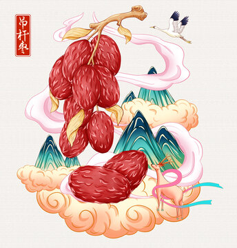 吊杆枣插画手绘