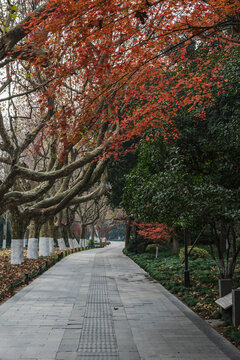 杭州西湖景区游步道