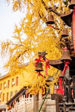 武汉秋天秋景宝通寺银杏