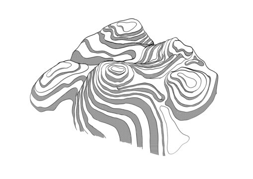梯田插畫(huà)