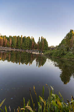 滇池湿地