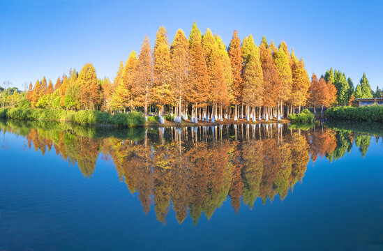 滇池湿地