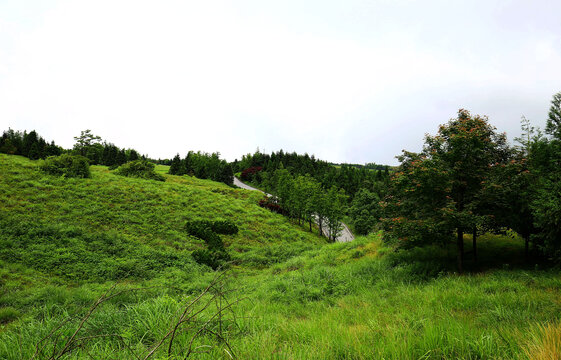 重庆秀山川河盖草场