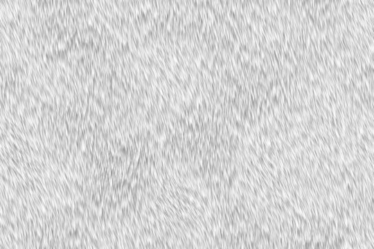 動物毛發(fā)皮毛貼圖