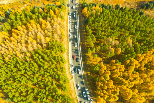 秋季航拍森林公路素材