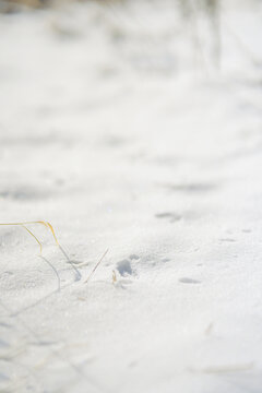 冬季雪地温暖文艺图片