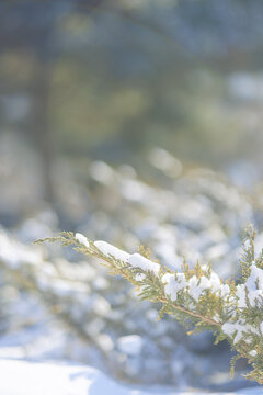 冬天白雪阳光温暖素材