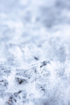 冬季冰雪微距特写图片