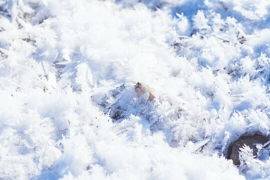 雪地冰晶特写微距图片