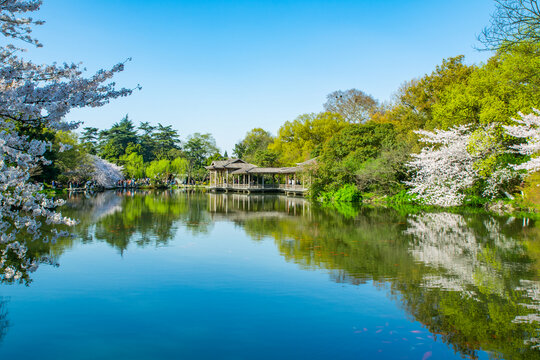 园林春景