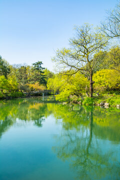 杭州西湖春景