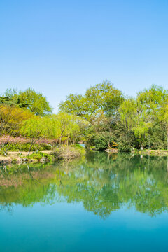 杭州西湖春景