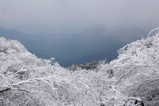 下雪后的山坡