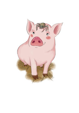 夏洛的網(wǎng)可愛(ài)小豬