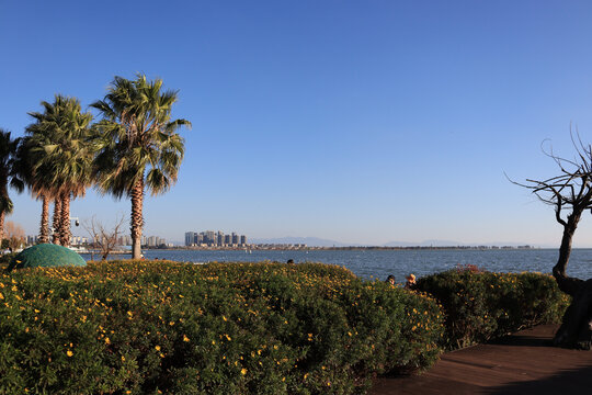 西山公园风景