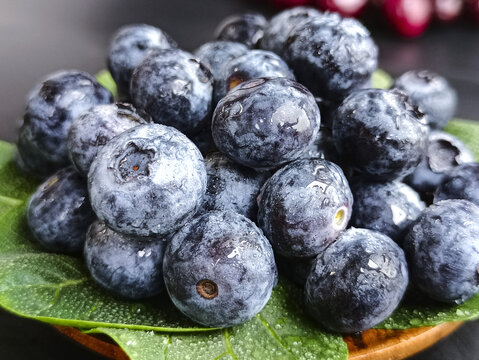 水嫩浆果蓝莓