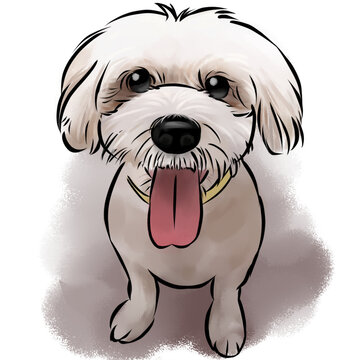 狗狗形象
