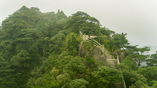 高山森林自然风光