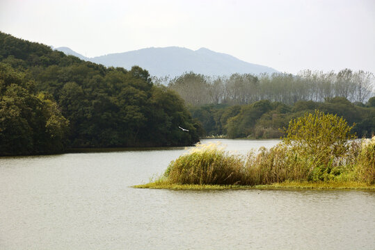 湖水风景