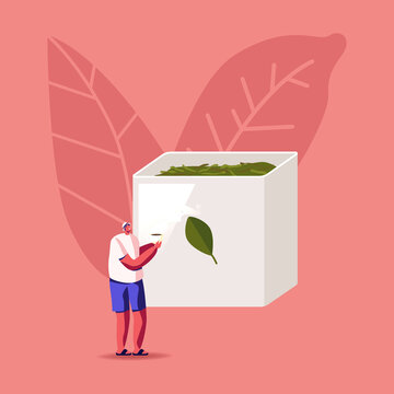 在巨大茶葉罐旁喝茶的男性 平面插圖