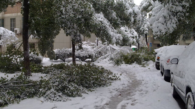 雪毁现场