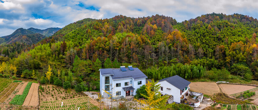 浦江大畈十里听枫景区秋色全景