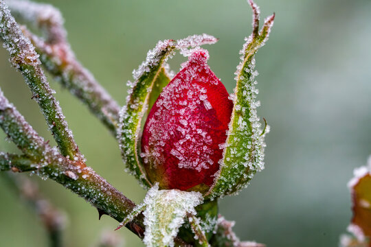 冰雪初融