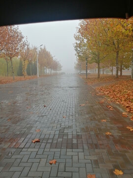 校园秋雨天