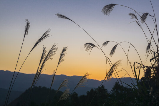 大山晨曦