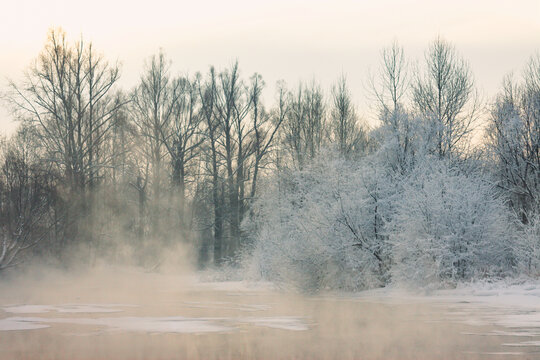 冬天河边树林雾凇