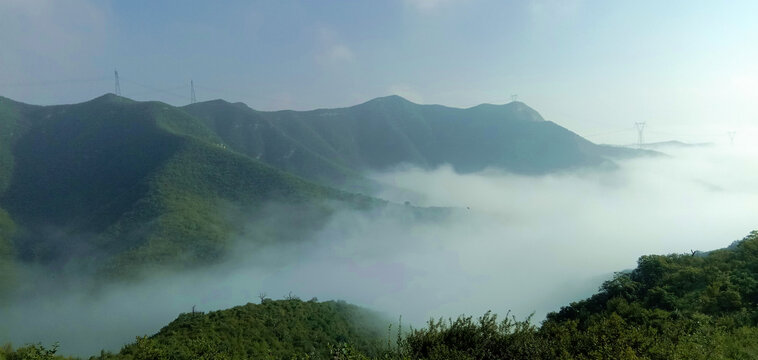 高山云雾