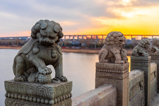 夕阳下的北京卢沟桥石狮子