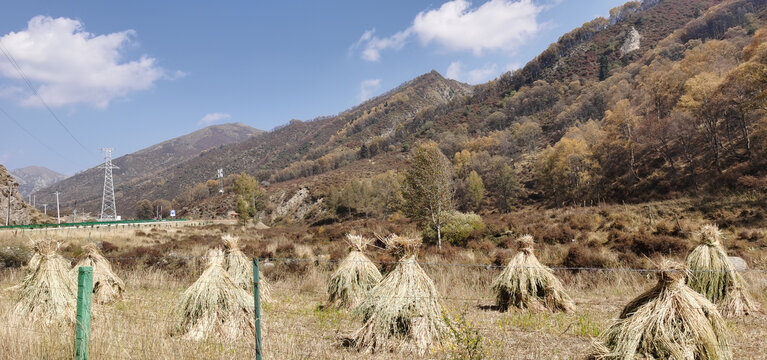 大山秋色