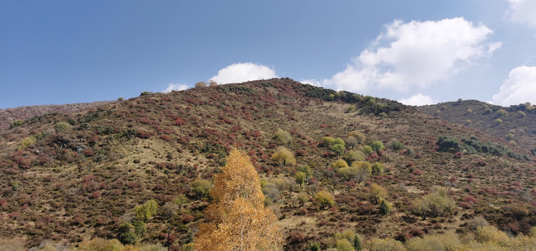 大山秋色