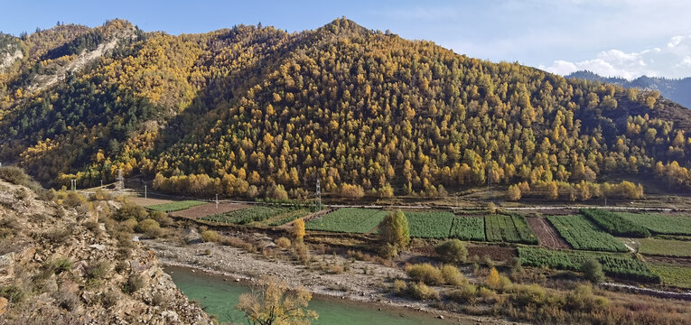 大山秋色