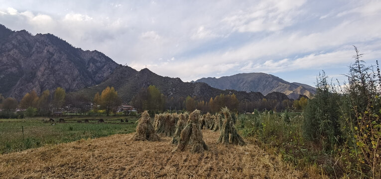 大山秋色