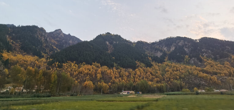 大山田野